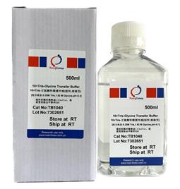 10×Tris-甘氨酸轉(zhuǎn)膜緩沖液（濕轉(zhuǎn)，溶液型）