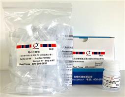 柱式動物總蛋白提取試劑盒（細胞樣品，變性提取）