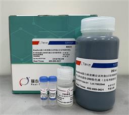Bradford蛋白濃度測定試劑盒（去垢劑兼容型）